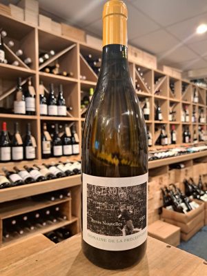 Domaine de la Préceptorie, Terres Nouvelles, Blanc, 2023, Roussillon