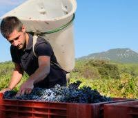 DOMAINE CLAVEL - ESTELLE ET ANTOINE CLAVEL